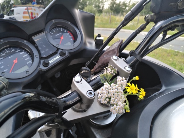 Tag 1: Flower of the Brandy day