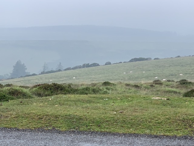Tag 6: Dartmoor Nr 2