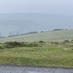 IMG_4587.JPG