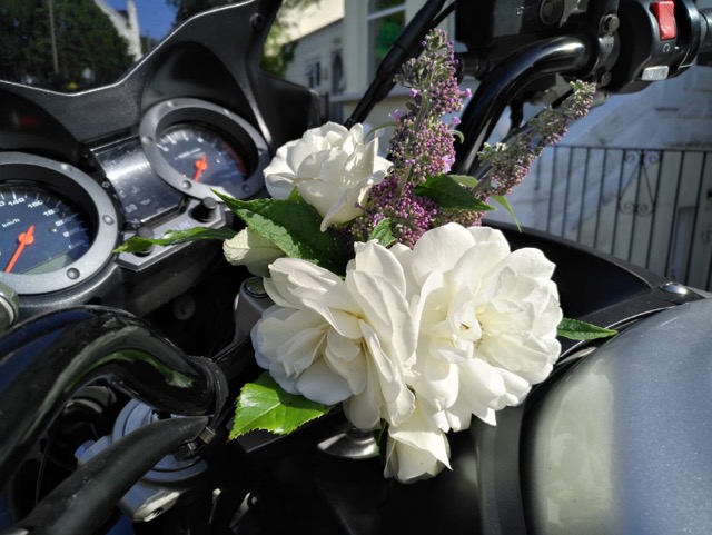 Tag 10: The last Flower of the Day